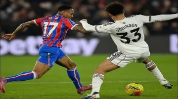 تعادل مثير.. كريستال بالاس يتقاسم النقاط مع فولهام في البريميرليغ 2025